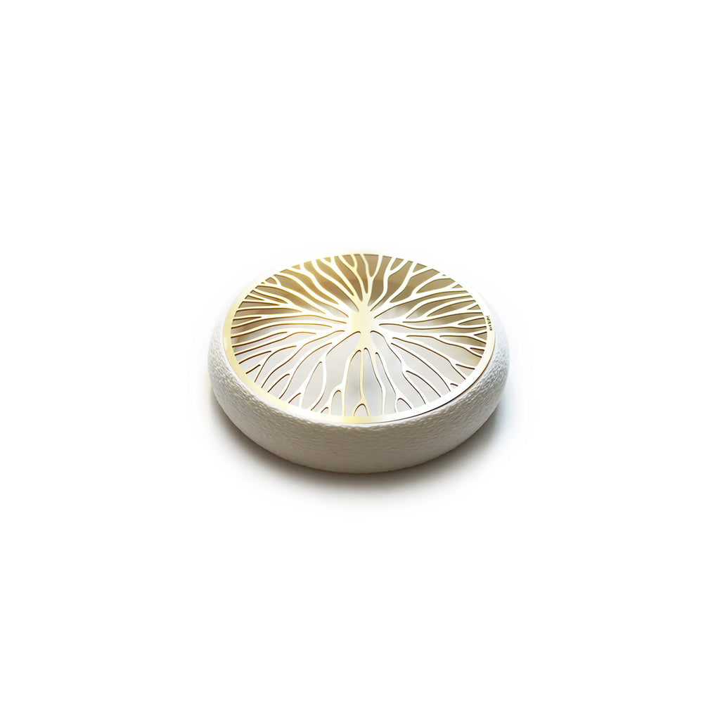 Eira - (1pc) Brass / White